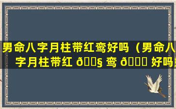 男命八字月柱带红鸾好吗（男命八字月柱带红 🐧 鸾 🕊 好吗婚姻如何）